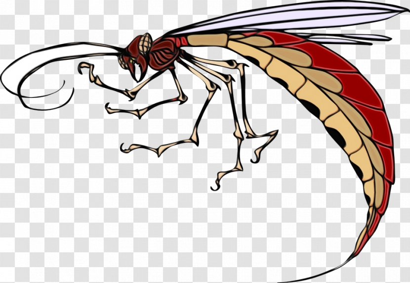 Dragon - Pest - Fly Transparent PNG