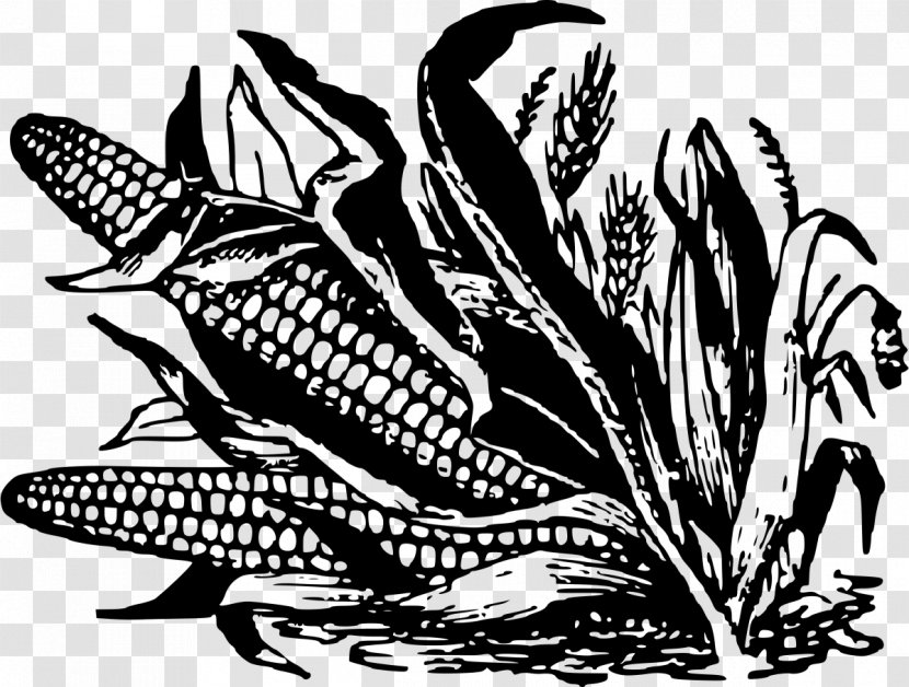 Corn On The Cob Maize Black And White Fritter Clip Art - Monochrome Photography Transparent PNG