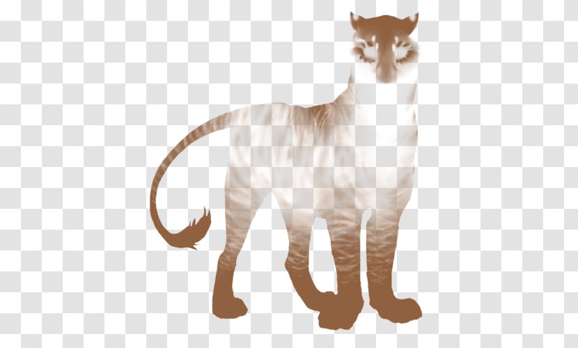 Whiskers Tiger Cat Fur Terrestrial Animal Transparent PNG