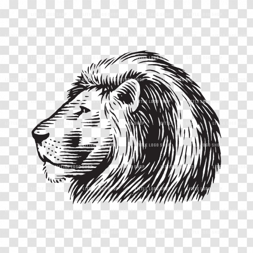 Lion Tiger Logo Wood Roar - Watercolor Transparent PNG