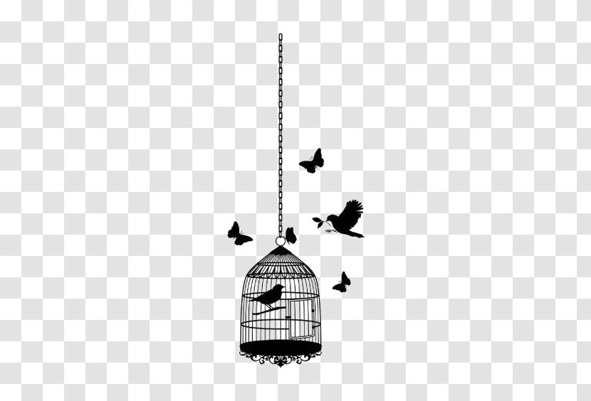Black Birdcage - Paper - And White Transparent PNG