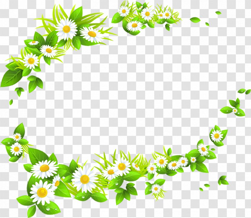 Roman Chamomile Flower Clip Art - Camomile Transparent PNG