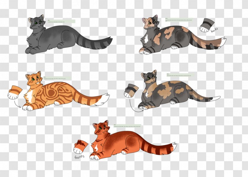 Kitten Cat Canidae Dog Paw Transparent PNG