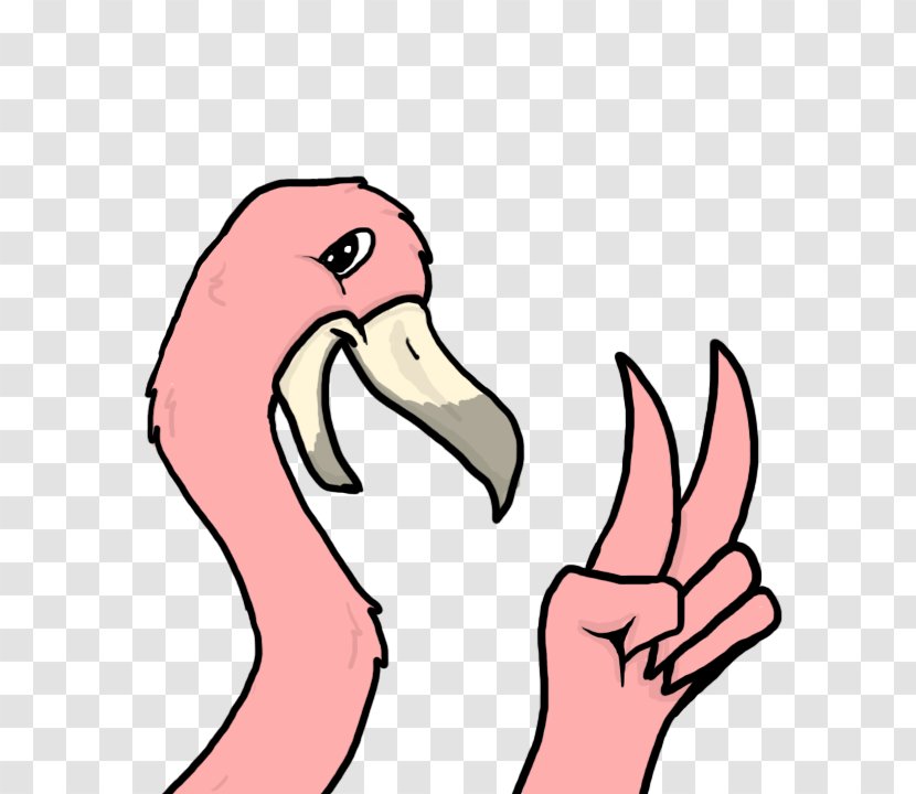 Water Bird Anatidae Mouth Beak - Tree - Flamingos Transparent PNG