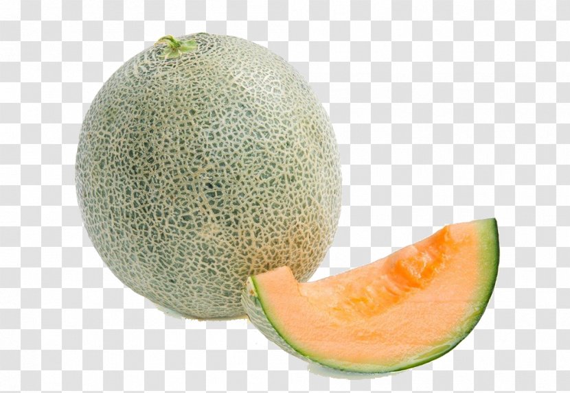 Cantaloupe Hami Melon Honeydew - Banco De Imagens - Textured Transparent PNG