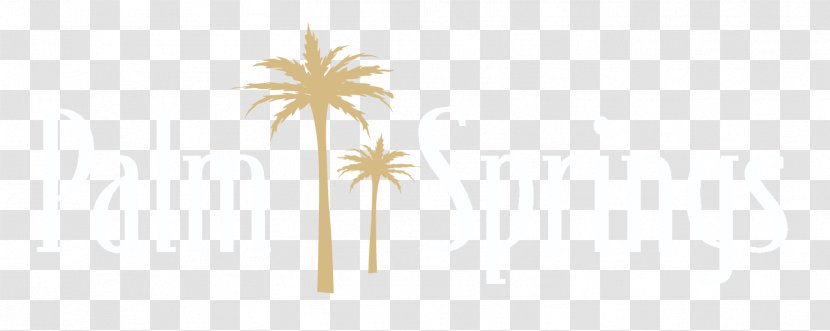 Palm Trees Line - Arecales - Springs Transparent PNG