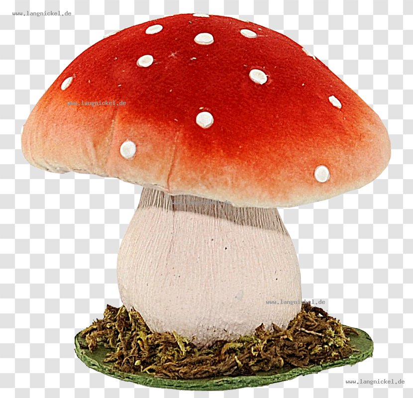 Amanita Muscaria Fungus Edible Mushroom Ausführungen Orange - Agaric - Mush Transparent PNG