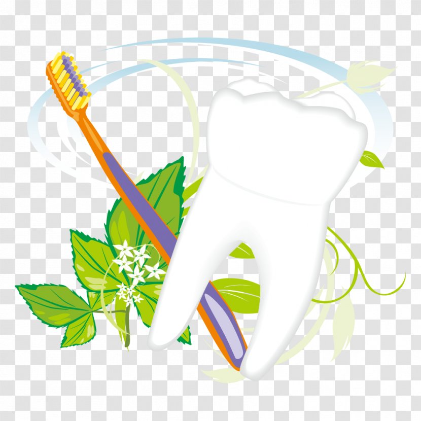 Toothbrush Euclidean Vector - Sports Equipment - And Tooth Transparent PNG