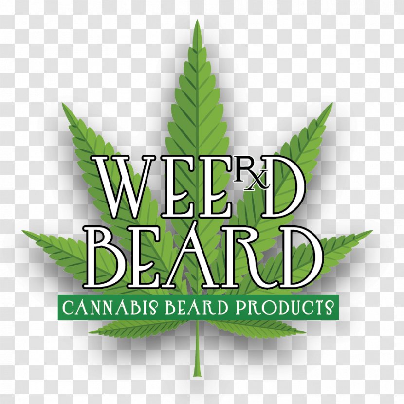 Cannabis Logo Hemp Font Herbalism Transparent PNG