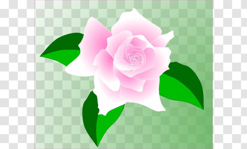 Rose Pink Clip Art - Sodipodi - Animated Roses Images Transparent PNG