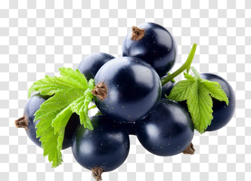 Gooseberry Zante Currant Blackcurrant Bilberry Flavor - Extract - Black Transparent PNG