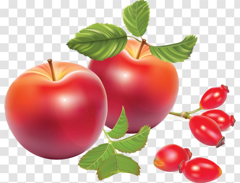 Rose Hip Apples Dog-rose - Potato And Tomato Genus - Alimentos Transparent PNG