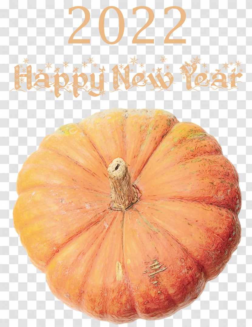 Squash Winter Squash Gourd Calabaza Natural Food Transparent PNG