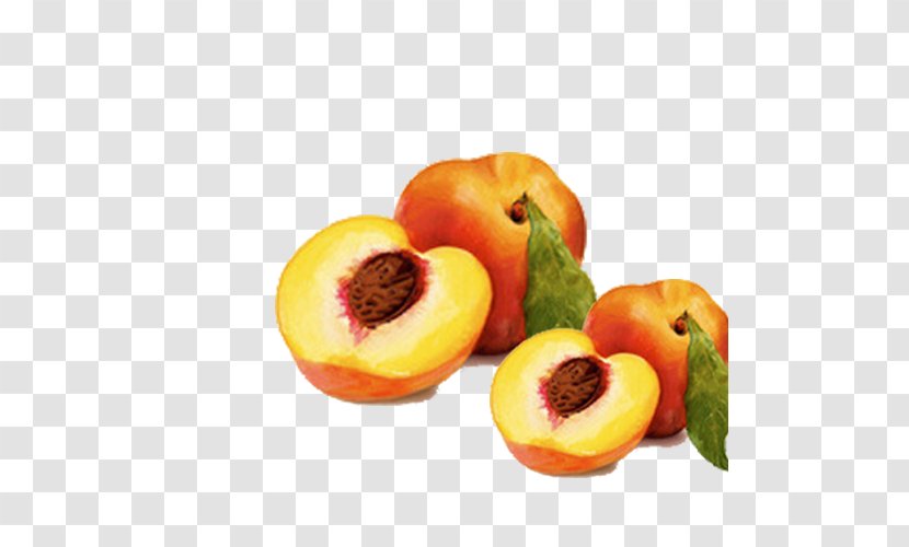 Peach Fruit Download Computer File - Food - Fresh Transparent PNG