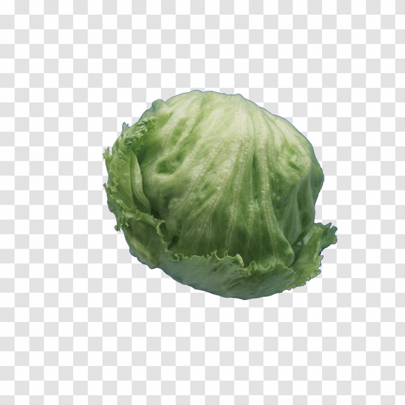Vegetable Celtuce - Lettuce - Green Cabbage Round Transparent PNG
