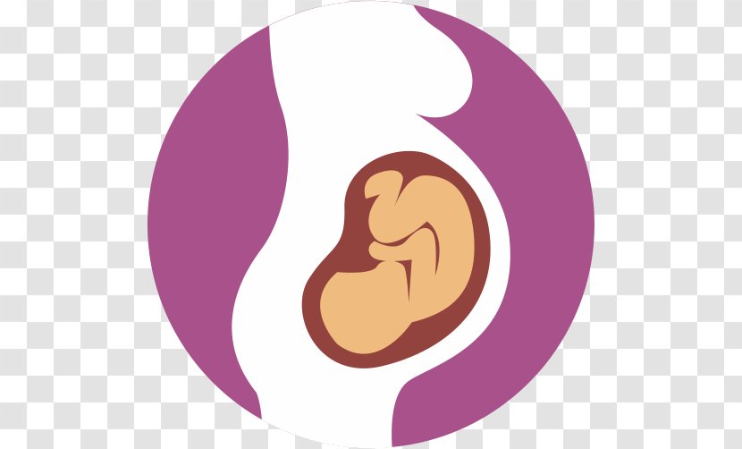 Fetus Alcohol And Pregnancy Infant Childbirth Transparent PNG