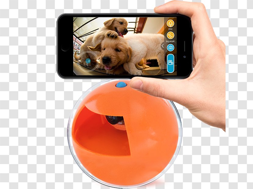 Puppy Dog Play Date Cat Toy - Robot Ball - Firecracker Transparent PNG