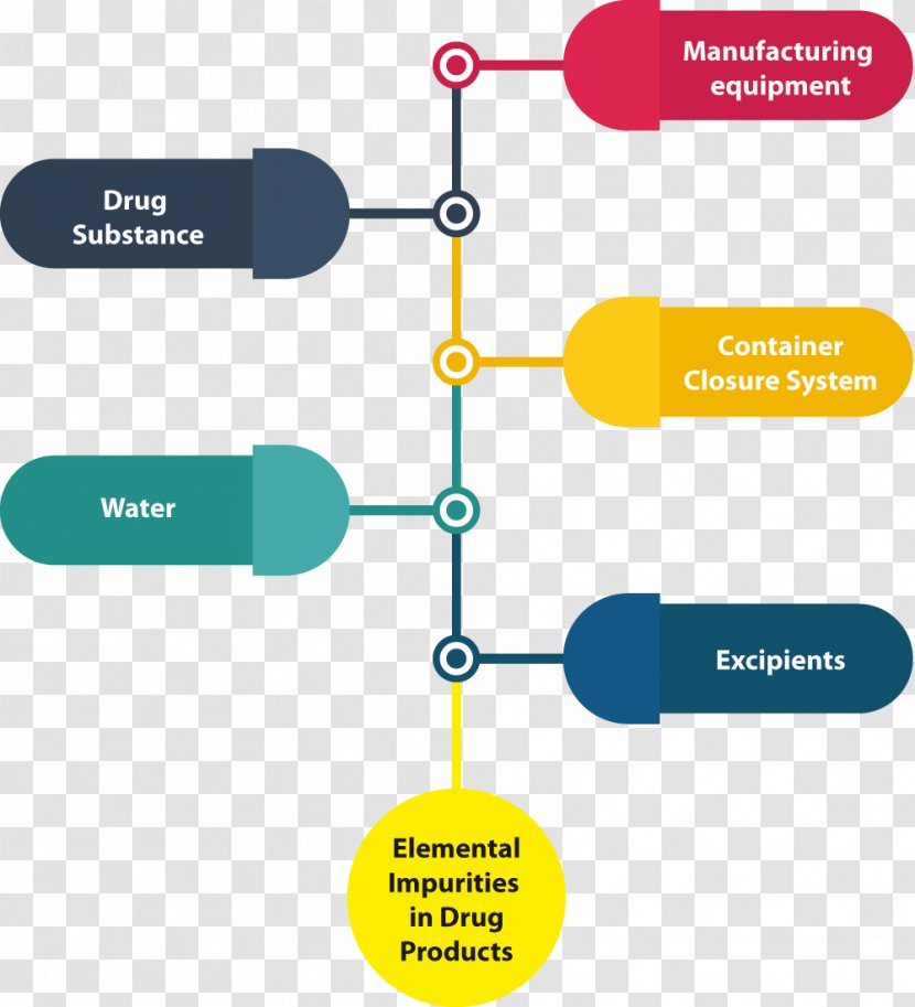 Organization Infographic Management Business Workflow - Diagram Transparent PNG