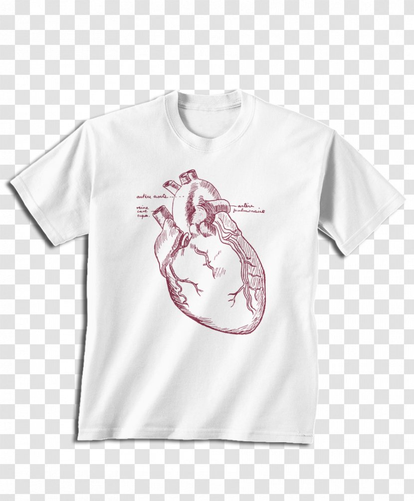T-shirt Das Weibliche Element Luftschacht Text Sleeve - Clothing Transparent PNG