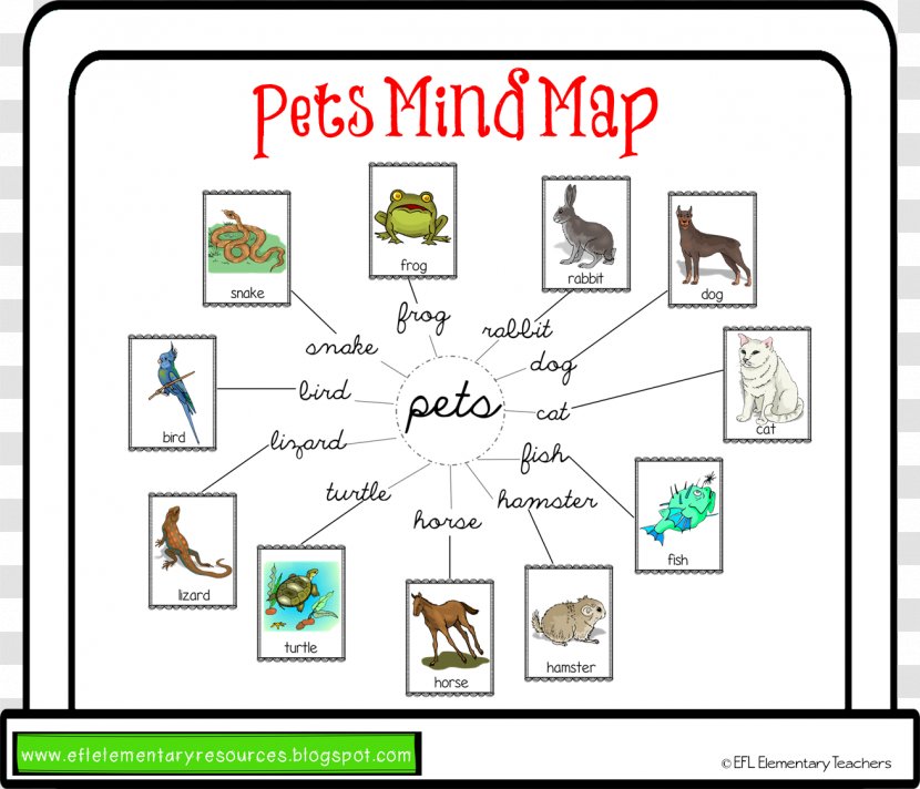 Learning Mind Map Word Vocabulary Pet - Cartoon - Bilingual Elementary Teacher Resume Samples Transparent PNG