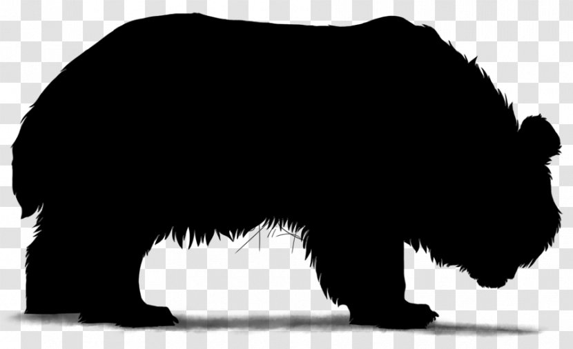 Grizzly Bear Dog Mammal Canidae - Brown Transparent PNG