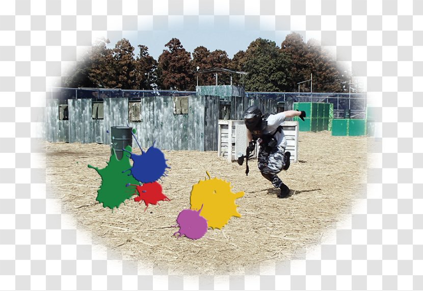 Playground Game Sport Ball Google Play - Outdoor Equipment - Adventure Paintball Transparent PNG