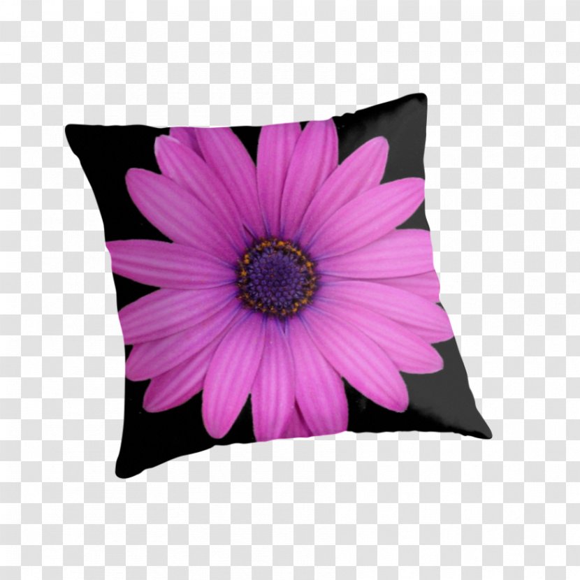 Cushion Throw Pillows Minions Transvaal Daisy - Plant - Pillow Transparent PNG