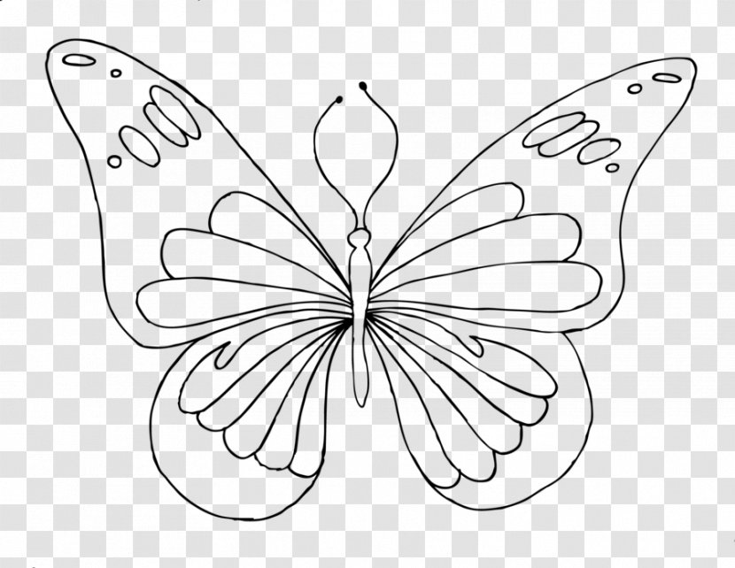 Monarch Butterfly Pieridae Drawing /m/02csf - Leaf - Lovely Parting Line Transparent PNG