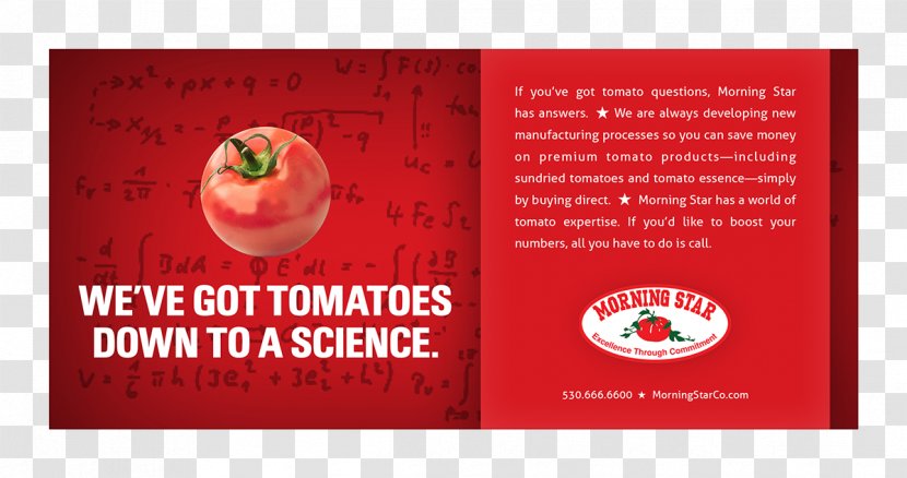 Tomato Morning Star Advertising Flyer Mercy Cancer Center - Local Food - SacramentoTomato Transparent PNG