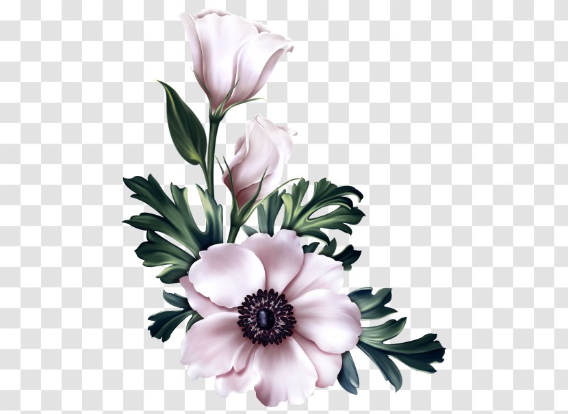 Bouquet Of Flowers Drawing - Anemone - Tulip Flower Arranging Transparent PNG