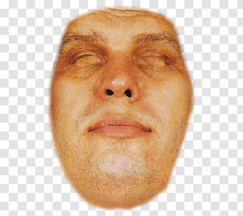 Snout Cheek Chin André The Giant Forehead - Wrinkle - Eye Transparent PNG