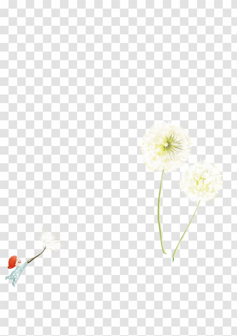 Textile Petal Pattern - White - Dandelion Creative Transparent PNG