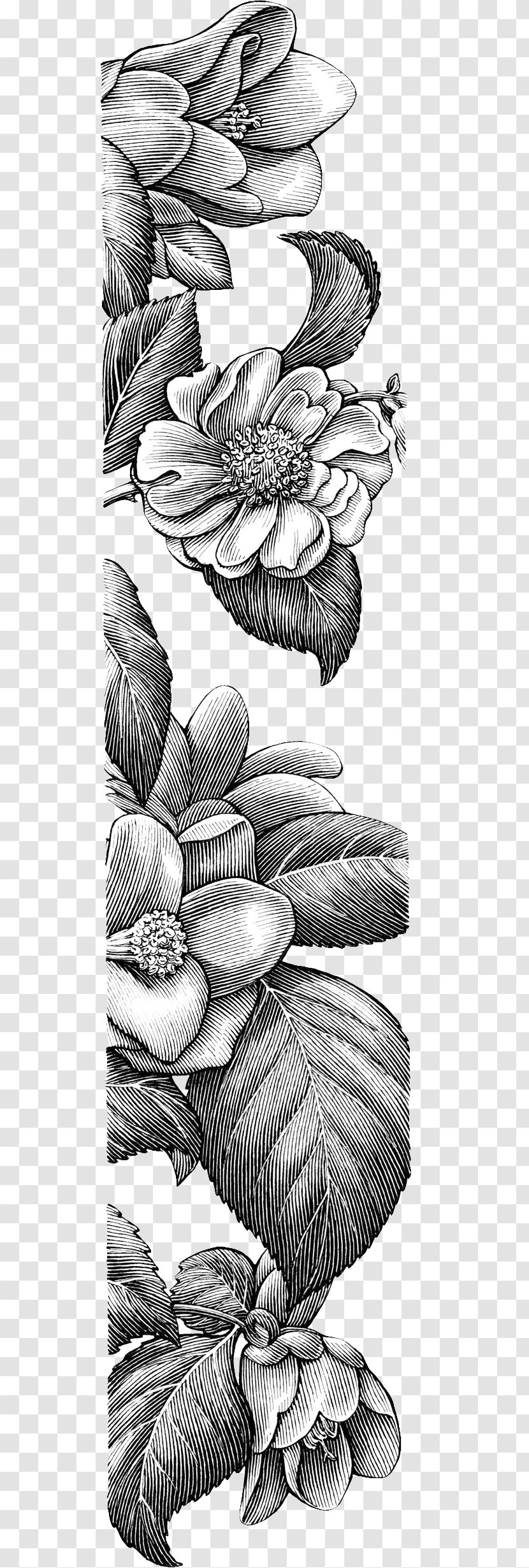 Drawing Line Art Visual Arts Idea Sketch - Fiction - Decorative Floral Borders Transparent PNG