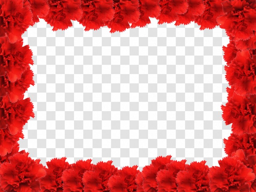Picture Frame Rose Red - Frames - Flower Photo Transparent PNG