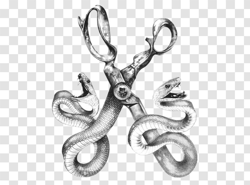 Visual Arts Surrealism Drawing Illustration - Vertebrate - Scissors And Snake Transparent PNG