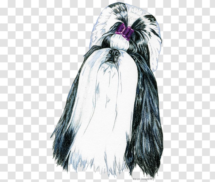 Dog Breed Shih Tzu Affenpinscher Drawing Fur - Carnivoran Transparent PNG