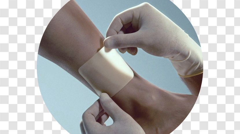 Dressing Wound Tratamento Therapy Nursing - Thumb Transparent PNG