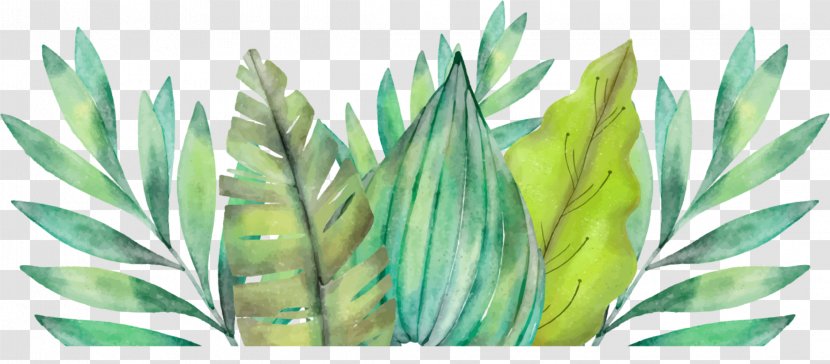 Leaf Amazon Rainforest Watercolor Painting Arecaceae - Tropical - Leaves Transparent PNG