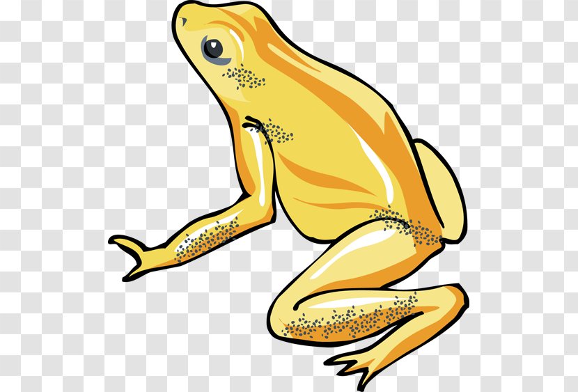 Tree Frog Clip Art - Animal Figure Transparent PNG