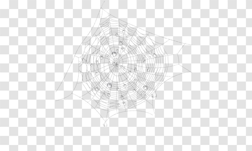 Spider Web Line Pattern - Black And White Transparent PNG