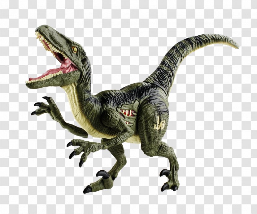 Velociraptor Tyrannosaurus Dinosaur Clip Art - Super Transparent PNG