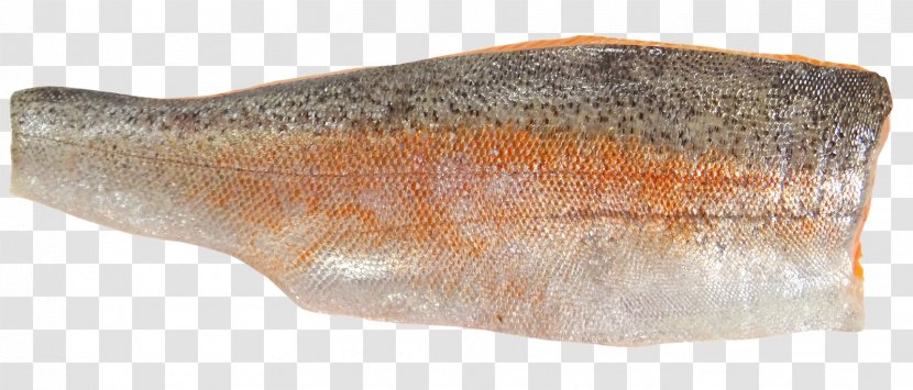 Sea Trout Fish Fillet Seafood - Sole Transparent PNG