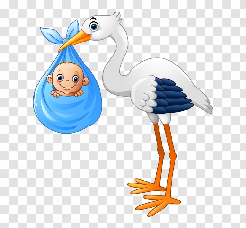 Photography Ciconia Illustration - Cartoon - Cute Baby Painted Stork Diao Transparent PNG