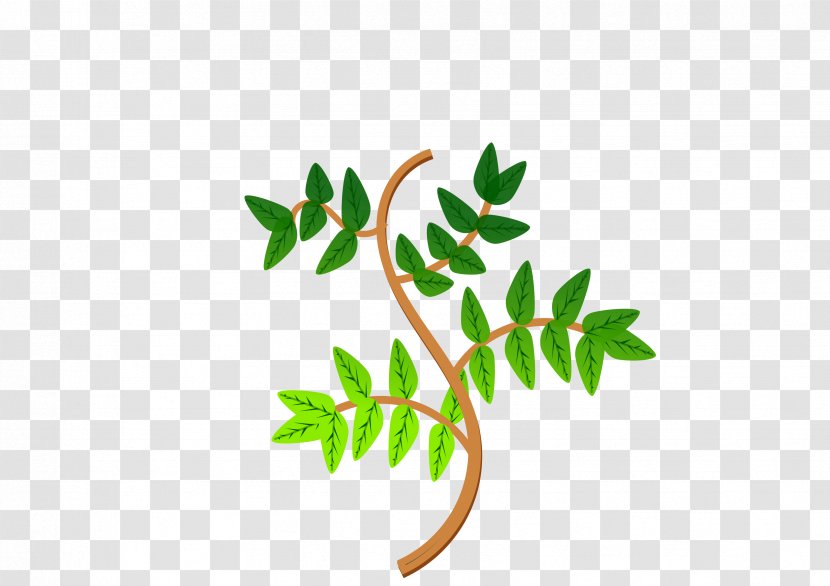 Branch Leaf Tree Clip Art - Plant Stem - Leaves Cliparts Transparent PNG