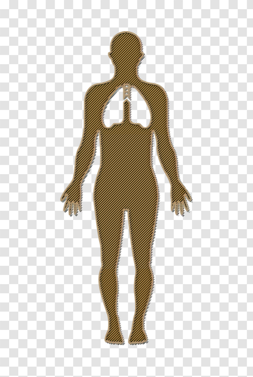 Human Body Icon Body Parts Icon Medical Icon Transparent PNG