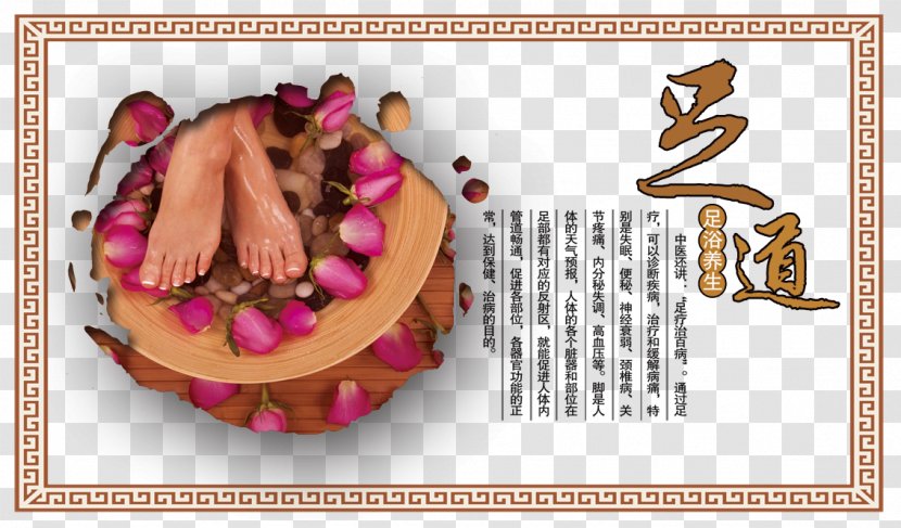 Chang'an, Dongguan Gaoyang Footbath Center Traditional Chinese Medicine - Editing - Foot Bath Panel Picture Transparent PNG