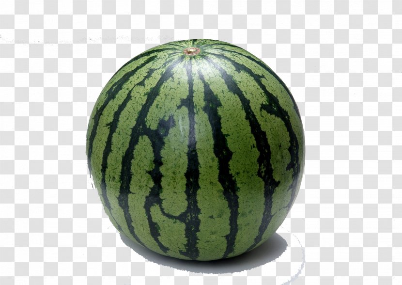 Watermelon Fruit Seed Vegetable Cucumber Transparent PNG