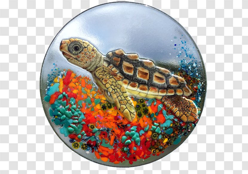 Box Turtle Sea Tortoise Hatchling - Glass Transparent PNG