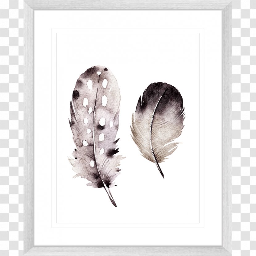 Picture Frames Feather Black White Printing - Frame Transparent PNG