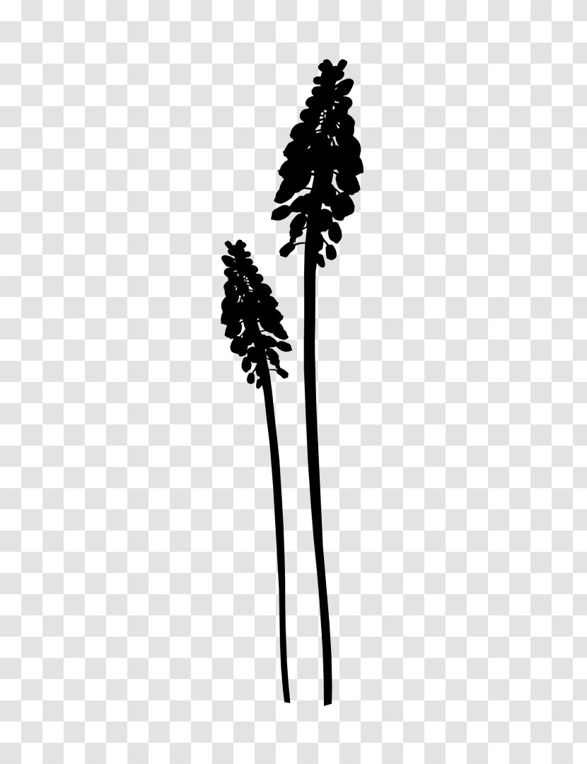 Flowering Plant Stem Leaf Silhouette - Blackandwhite Transparent PNG